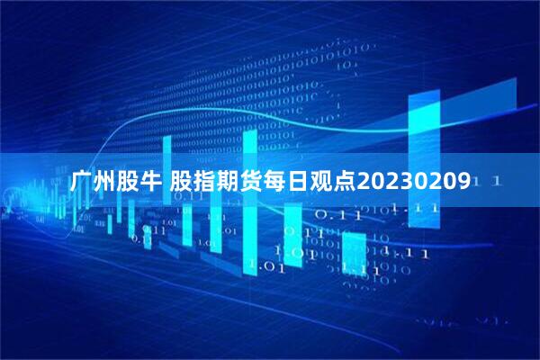 广州股牛 股指期货每日观点20230209