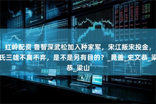 红岭配资 鲁智深武松加入种家军，宋江叛宋投金，阮氏三雄不离不弃，是不是另有目的？_晁盖_史文恭_梁山