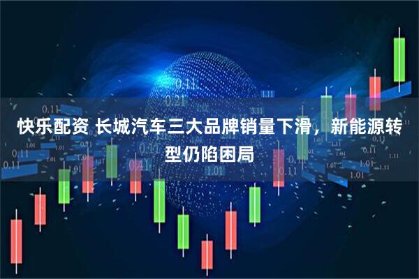 快乐配资 长城汽车三大品牌销量下滑，新能源转型仍陷困局
