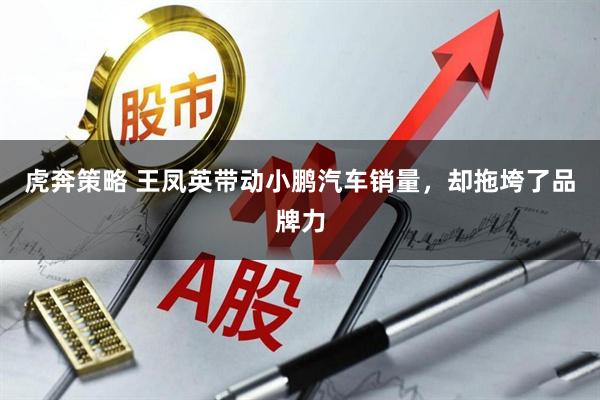 虎奔策略 王凤英带动小鹏汽车销量，却拖垮了品牌力
