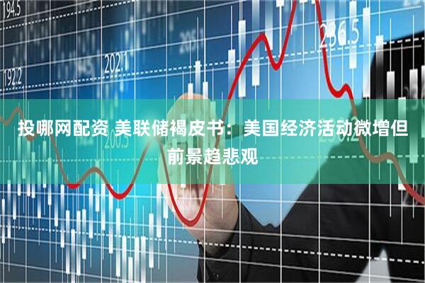 投哪网配资 美联储褐皮书：美国经济活动微增但前景趋悲观